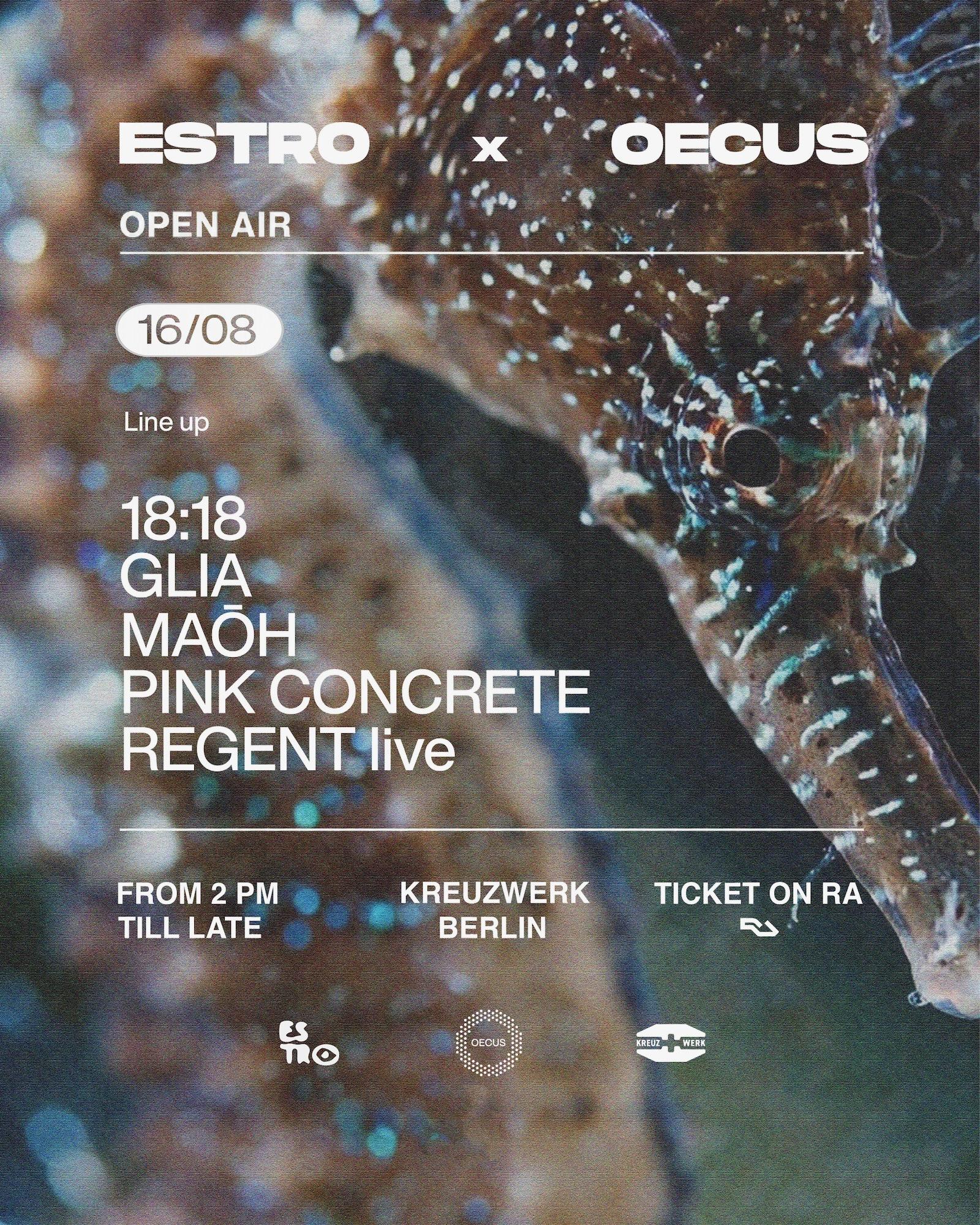 Flyer Oecus x Estro (1).jpeg