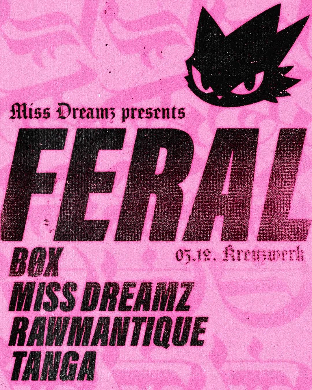 miss dreams.jpeg